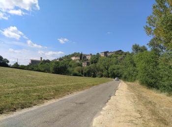 Excursión Bicicleta híbrida Vallon-Pont-d'Arc - vallons Lagorce arrière pays - Photo