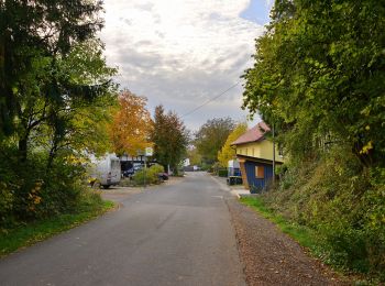 Percorso A piedi Ruppichteroth - Hatterscheid Rundweg A2 - Photo