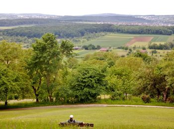 Tour Zu Fuß Großbettlingen - blaue Raute Roßdorf - Großbettlingen - Grafenberg - Kapishäusern - Jusi - Photo