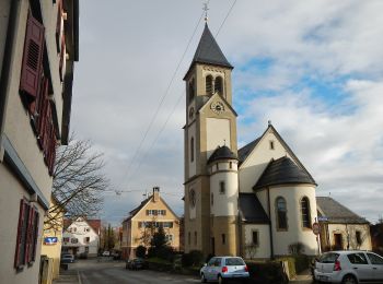 Tocht Te voet Tübingen - Panoramaweg - Photo