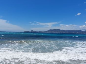 Tocht Stappen Bandol - bandol St cyr les lecques  - Photo