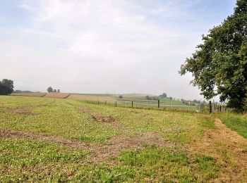 Percorso A piedi Volken - Volken - Andelfingen - Photo