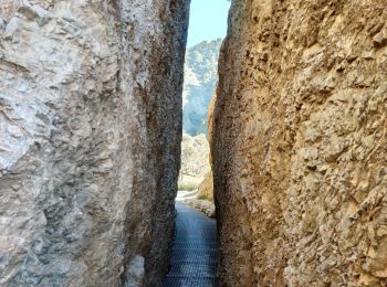 Tour Wandern Nigüelas - Nigüelas - Photo