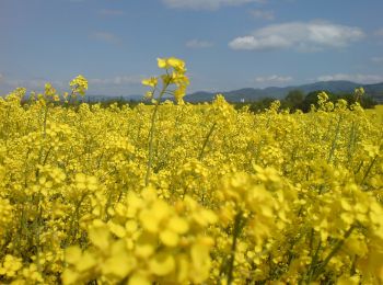 Excursión A pie okres Prievidza - Náučný banský turistický chodník - Photo