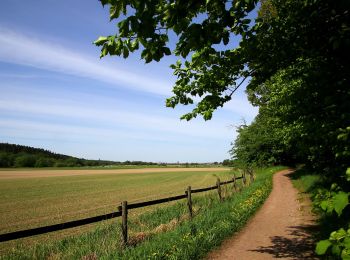 Randonnée A pied  - Linnéstigarna Danmarksvandringen - Photo