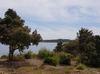 Randonnée Marche Tallone - Corse - Près d Aleria - Etang de Diane - Photo