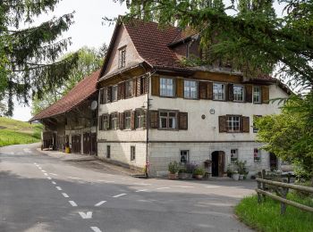 Tocht Te voet Weinfelden - Thurgauer Vermessungsweg - Photo