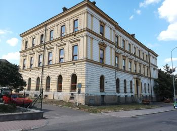 Tour Zu Fuß Senftenberg in Böhmen - Výletní okruh městem - Photo