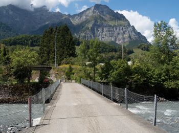 Tocht Te voet Glarus Süd - Ober-Sool - fixme - Photo