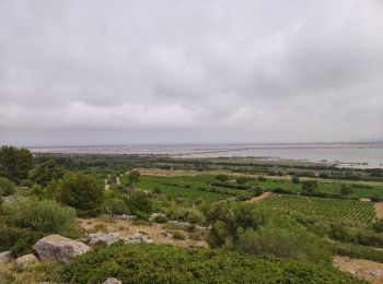 Trail Walking La Palme - la palme - Photo