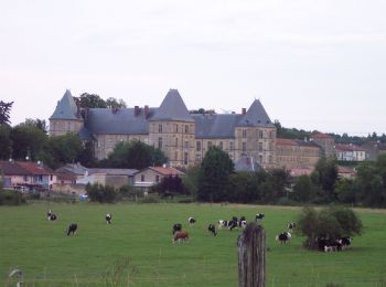 Tocht Te voet Villécloye - La Lorraine Gaumaise - Photo