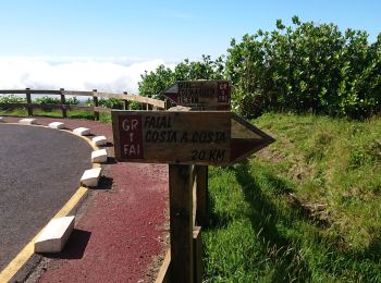 Randonnée Marche Cedros -  caldeira Faial - Photo