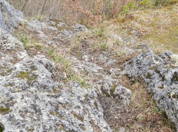 Percorso Marcia Tintigny - Bellefontaine,  Gros Cron, Baraque Payat - Photo