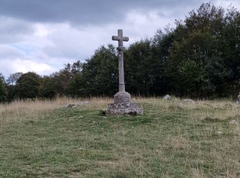 Tour Wandern Valserhône - Cuvéry avec Ophélie  - Photo