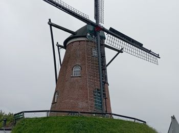 Randonnée Marche Sluis - petit chat des sables - Photo