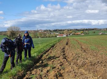 Excursión Senderismo Bailleul - boucle 15km Bailleul - Photo