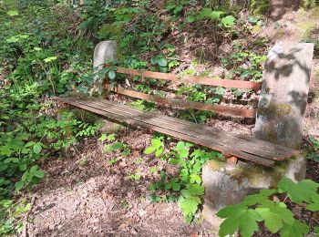 Randonnée Marche Esneux - autour du parc du Mary - variante  - Photo