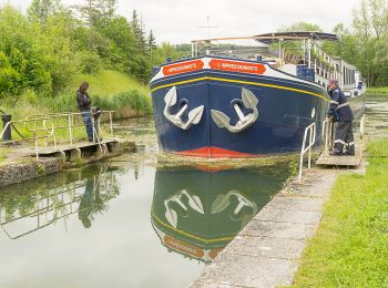 Excursión Cicloturismo Vandenesse-en-Auxois - Vandenesse - Dijon - Photo