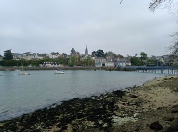 Excursión Senderismo Douarnenez - DOUARNENEZ  - Photo