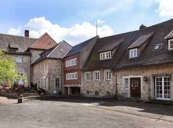 Tour Zu Fuß Dörentrup - A4 Drecken und Huppigsberg - Photo