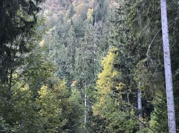 Tour Wandern Saint-Mury-Monteymond - Lac Blanc - Photo