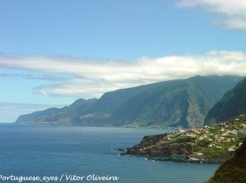 Trail On foot Seixal - Vereda da Ribeira Funda - Photo