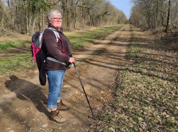 Trail Walking Bruley - Bruley Lucey - Photo