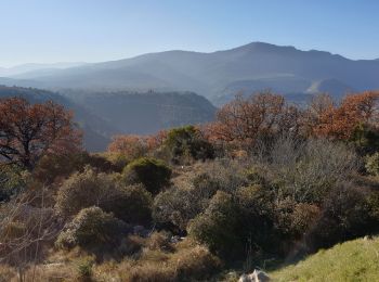 Excursión Senderismo Les Vans - La-colline-des-oliviers - Photo