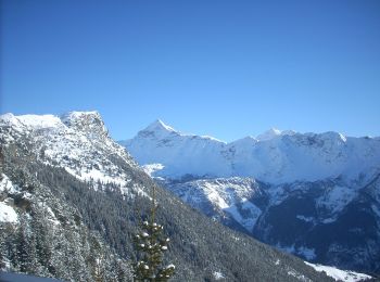 Tour Zu Fuß Chiesa in Valmalenco - IT-334 - Photo