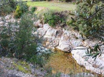 Tocht Stappen Flayosc - Le hameau de Sauveclare - Photo