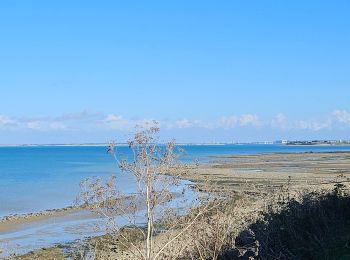 Tour Elektrofahrrad Ars-en-Ré - ile de ré vélo  - Photo