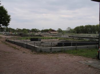 Randonnée A pied Oisterwijk - Wandelroute Duurzaamheidsvallei - Photo