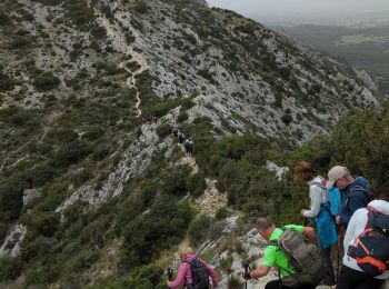 Randonnée Marche Eygalières - alpille 2024 trace - Photo