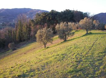 Trail On foot Capannori - Sentiero n.16 