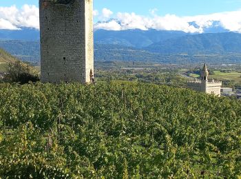 Randonnée Marche Chignin - rando dans les vignes autour de chignin - Photo