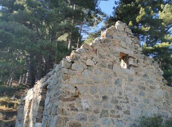 Tour Wandern Corte - boucle corte-arche-refuge de forca-corte - Photo