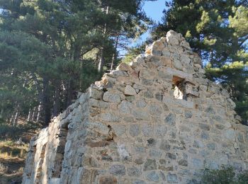 Randonnée Marche Corte - boucle corte-arche-refuge de forca-corte - Photo