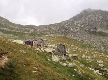 Trail On foot Baceno - Via dell' Arbola tappa 2 IT - Photo