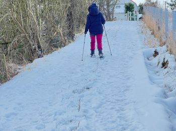 Randonnée Raquettes à neige Tubize - Sortie raquettes dans la réserve Natagora du Coeurcq - Photo