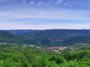 Tocht Stappen Lavans-lès-Saint-Claude - belvédère_de_la_Scia_GPX - Photo