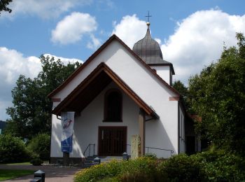 Randonnée A pied Kreuztal - Vollquadrat Krombach - Osthelden - Photo