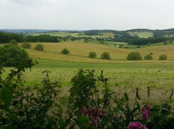 Tour Wandern Léguillac-de-l'Auche - Leguillac 12km - Photo