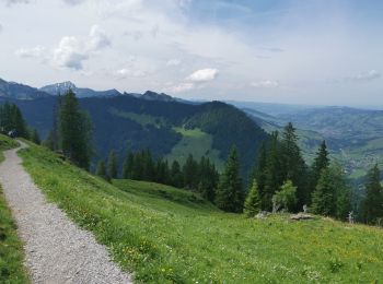 Randonnée Marche Wildhaus-Alt St. Johann - . Oberdorf - Strichboden en passant Chäserrugg - Photo