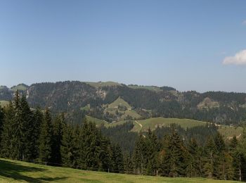 Trail On foot Romoos - Bramboden - Hängelenflue - Photo