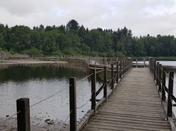 Excursión Bici de montaña Moux-en-Morvan - vtt cabane verte 12km lac setton rive gauche - Photo