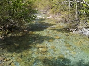 Tour Wandern Torla-Ordesa - cascade estrecho - Photo