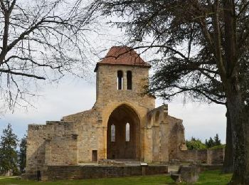 Excursión Senderismo Vertaizon - Vertaizon_Puy_de_Mur_1 - Photo