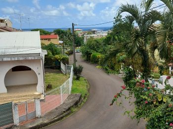 Trail Walking Le Lorrain - Boucle Prébour -- Carabin - Photo