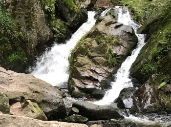 Randonnée Marche Tendon - Petite cascade du Tendon - Photo