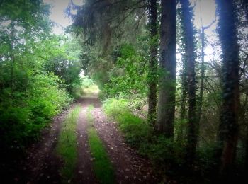 Randonnée V.T.T. Anhée - VTT de bioule - Photo